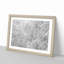 Snow upon the Tree Branches - Picture Frame Graphic Art Print-55725898-55725903