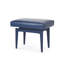 Winston Leather Accent Stool-799528449