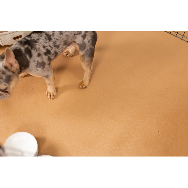 Protecteur de plancher pour animaux Levant, Grès, 120" W x 60" D