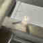 Photos des clients 1 de 3