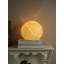 Baryn Novelty Lamp