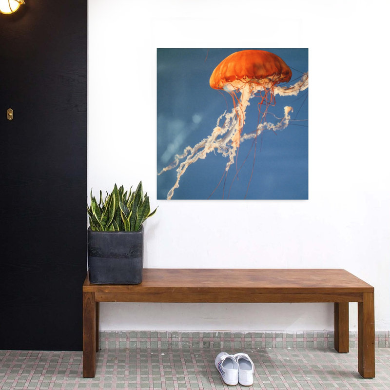Art contemporain de la faune méduse, H 32 po x l 32 po