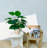 Primrue 31.5 in Pothos Faux Tree Devil's Ivy Scindapsus Aureus In Black Pot-1798766426