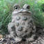 Statue de jardin fantaisiste crapaud «Stretch»-91290558-123174685-131275972