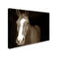 « cheval portrait », reproduction de photo sur toile tendue-31383014