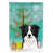 Border collie noir / blanc