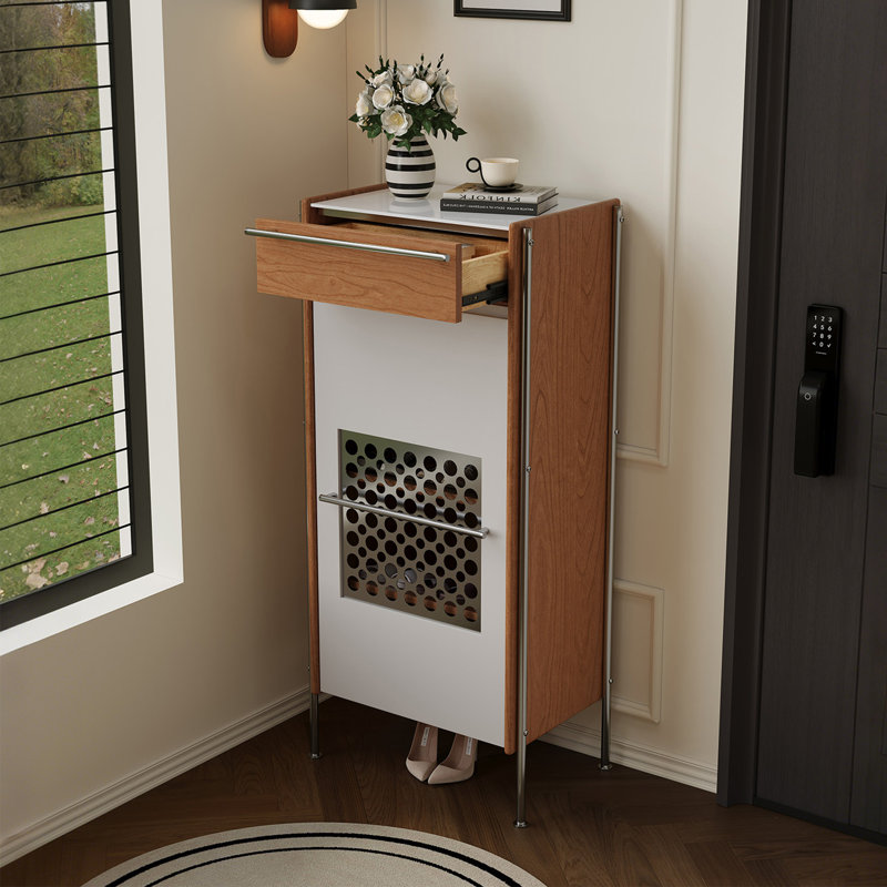Luxury Practical Storage Shoe Cabinet