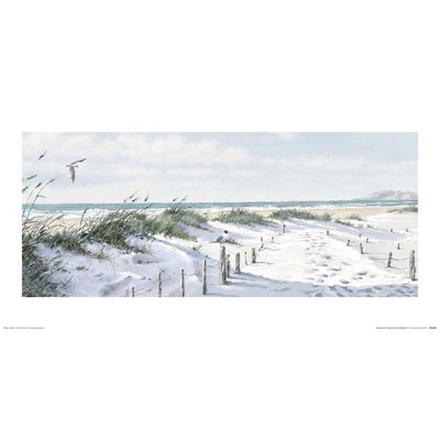 Footpath To The Beach by Richard Macneil - Print