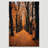 Autumn Fall " Orange Autumn Garden Path Nature Forest Trees "-99142074-99142072