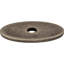 Oval  Backplate-19154337-19154340