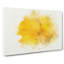 Sole Yellow Daffodil In Abstract - Wrapped Canvas Print-55339697