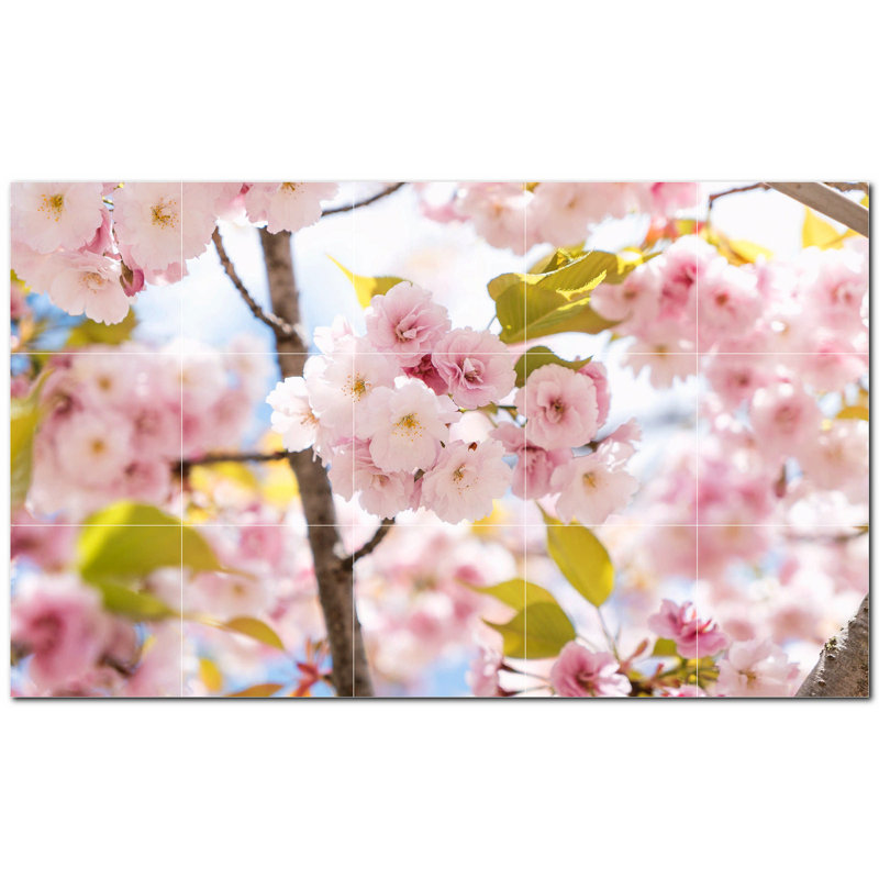 Photo de printemps 8 x 8