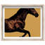 Hue Equine II Shadowbox Animals Print by Oliver Gal, Black Frame, 20 x 16-614038993-614038997