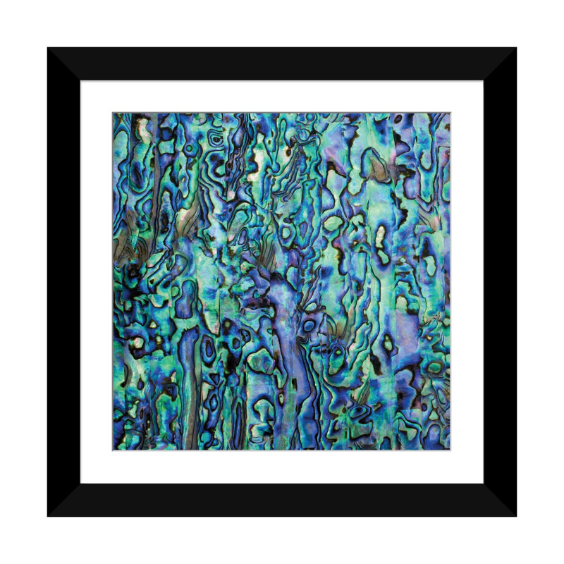 Abalone Nacre Shell, reproduction d'art sur papier encadré, 16" x 16", Framed Paper, Black