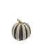 Paprika Stripe Medium Pumpkin-1459269596