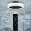 Cassiah Ceiling Fan With Led Lights