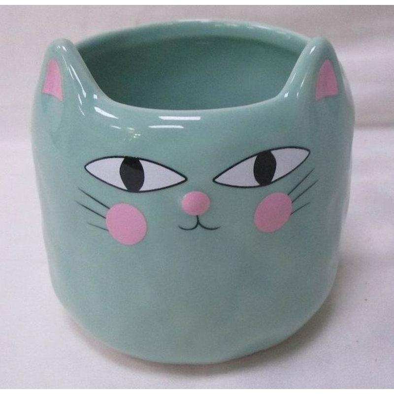 Pot à fleurs Jaeden Aqua Cat, H 3 po x l 3 po x P 3 po
