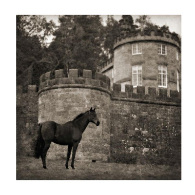 Bolesworth Horse Print by Pete Kelly