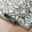 Feya Machine Woven Synthetic Damask Aera Rug in Green/White-37698424-51184567