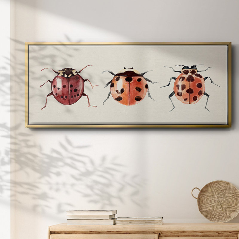 Coccinelle, H 20 po x l 50 po