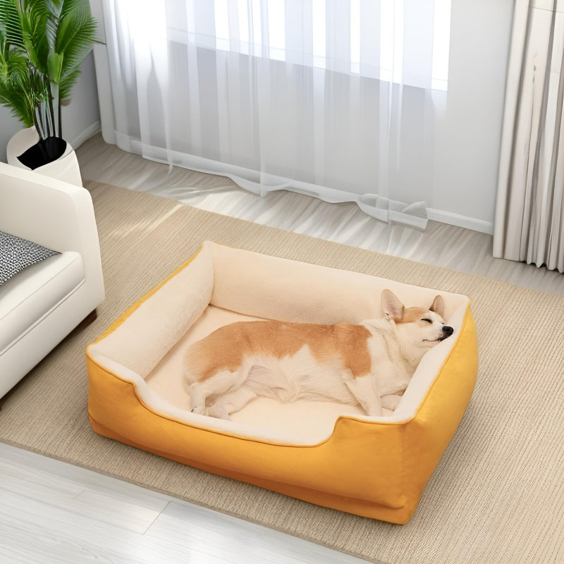 Ensemble pour chien Doghouse, Jaune