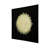 Camilla Square Shadow Box Wall Décor