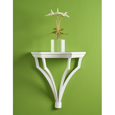 Petits anthuriums sur pied
