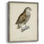 «French Owls I», reproduction encadrée - bois massif-1514311024