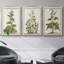 «Munting Botanicals IV», ensemble de 3 toiles encadrées-97708883-97708884
