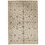 Floral Area Rug in Ivory/Brown