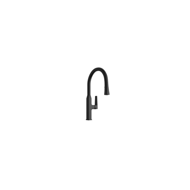 Proflo Kitchen Faucet, Matte Black