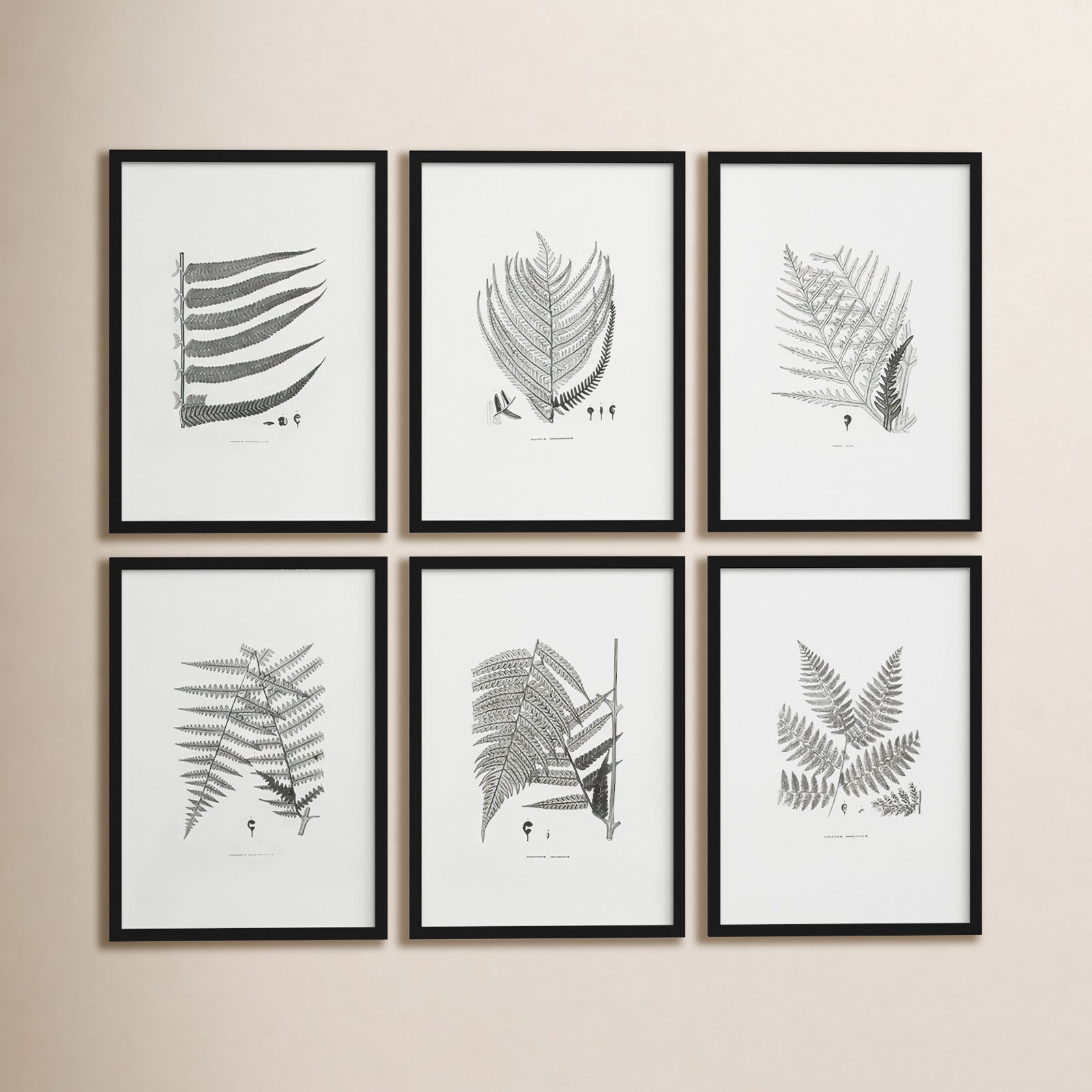 Welles "Gray-Tone Fern" Wall Art Set
