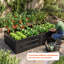 Lit de jardin surélevé en métal noir 76 po x 37 po x 17 po, boîte à fleurs en acier inoxydable 3 pi x 6 pi avec base ouverte et tiges de support pour légumes
