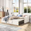Arneson Upholstered Daybed with Trundle-839300045