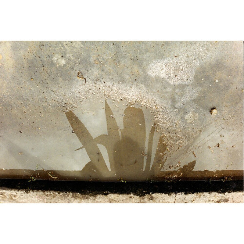 Between The Ephemeral And The Permanent 4 Print by Leonardo Segovia.