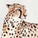 Everly Quinn Saharan Cheetah I On Canvas Painting | Wayfair