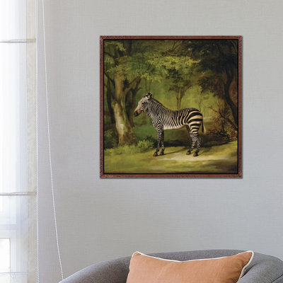 A Zebra, 1763 by George Stubbs - Painting on Canvas