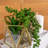 Mixed Assortment Arrangement