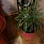 Photos des clients 1 de 1