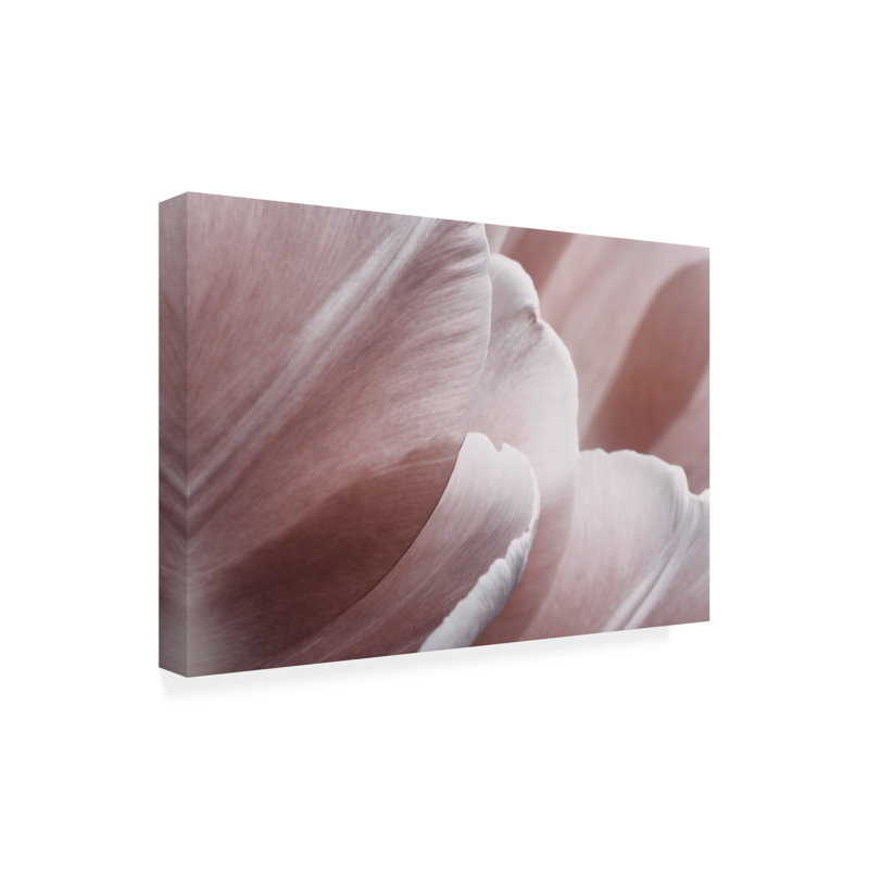 Œuvre sur toile, bolologique rose, H 22 po x l 32 po