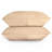 100% Cotton Sheet Set-72058289-72058290