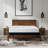 Copper Infused Plush Memory Foam Mattress-427336187
