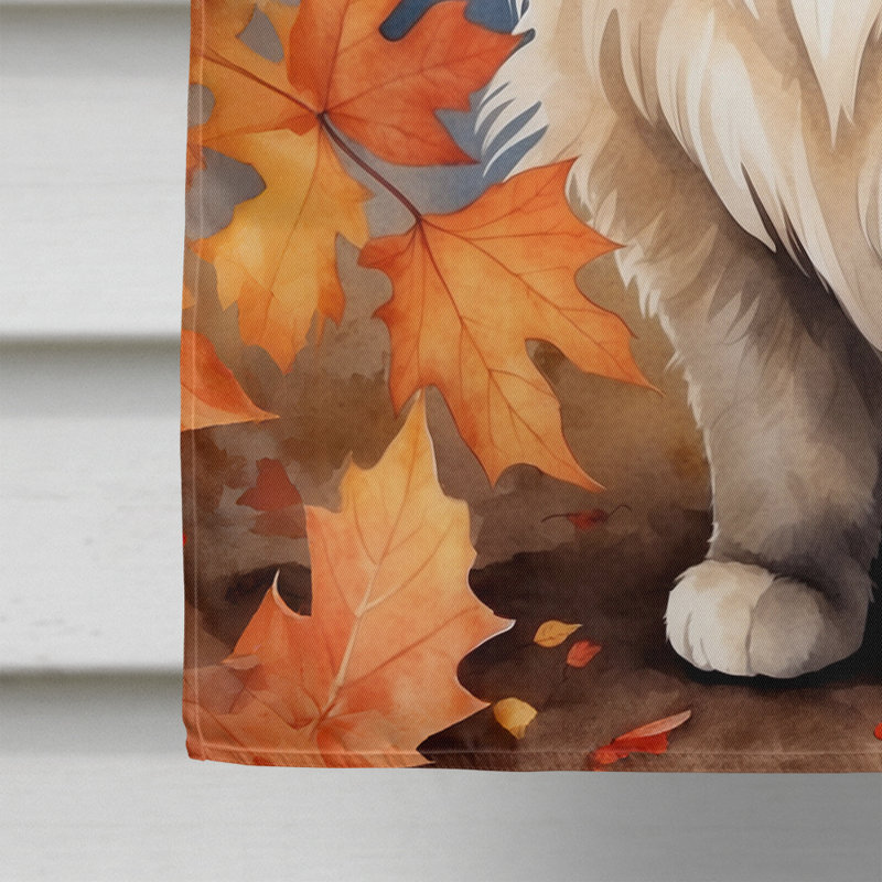 Chat en feuilles d'automne, Colorpoint Longhair