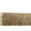 Wool Oriental Area Rug in Brown/Green/Rust