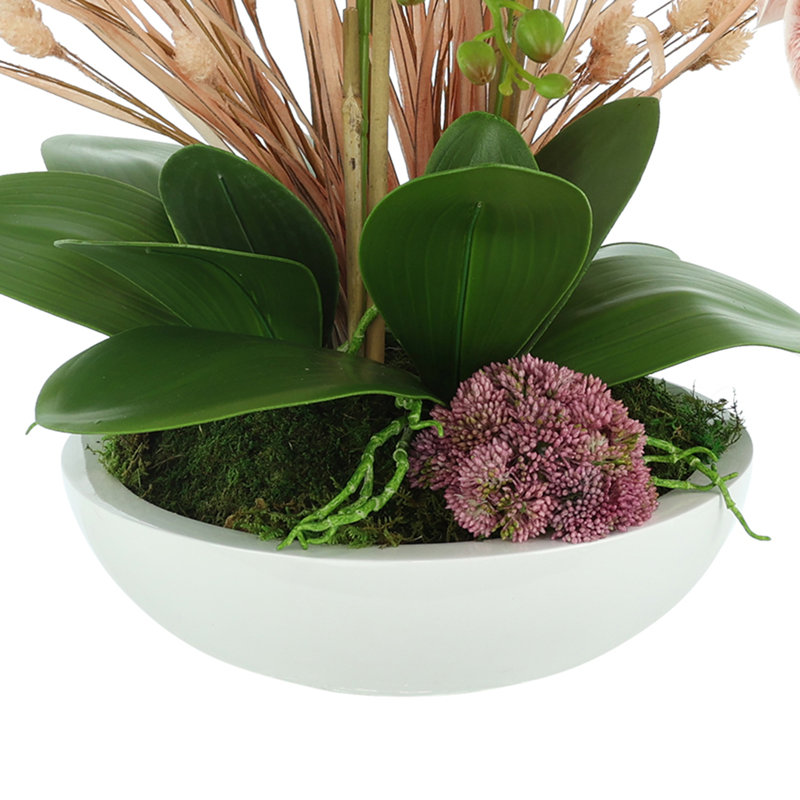 Orchids Arranged in Fiberstone Planter