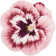 Wendover Floral Indoor Rug