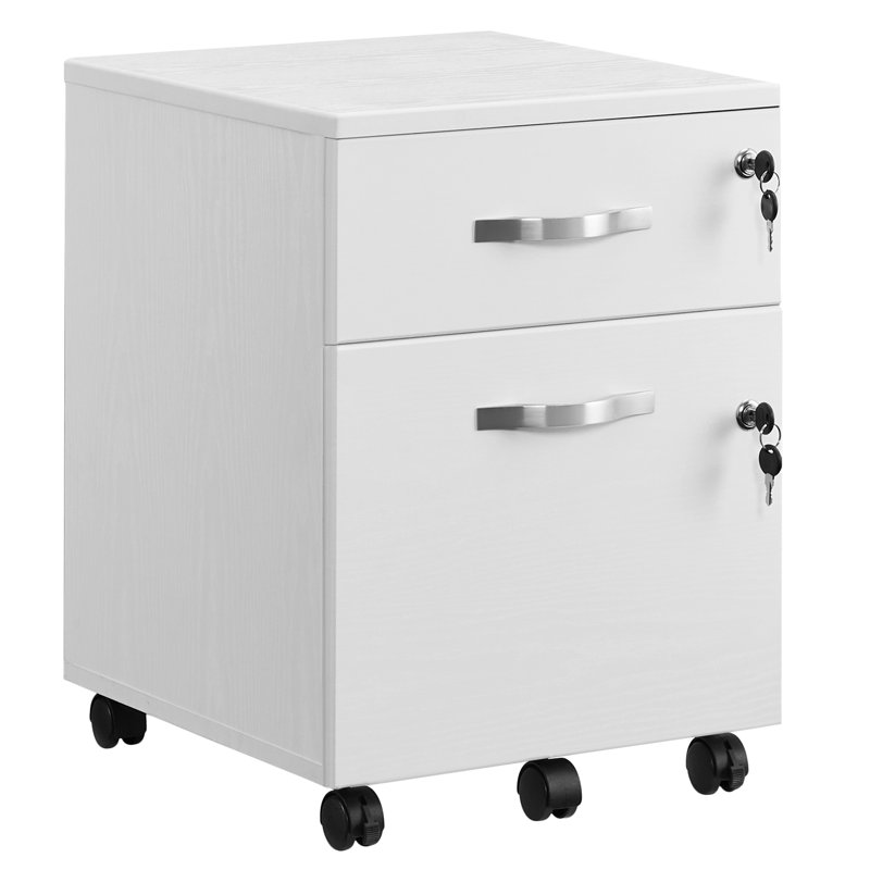 54.4cm Wide 2 -Drawer Mobile File Cabinet