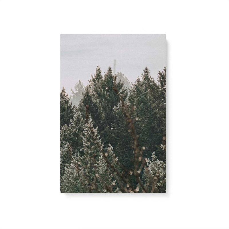 Impression sur toile Hush Evergreen III, H 18 po x l 12 po x P 1,25 po, Toile tendue