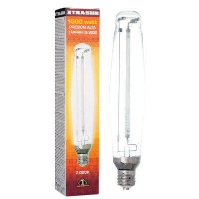 Ampoule