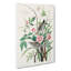 Seaside Finches by John Audubon - Wrapped Canvas-55323857